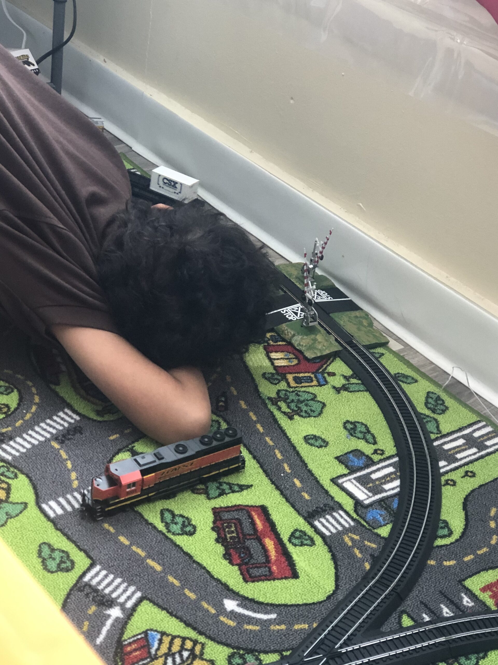 Bachmann Trains E-Z TRACK CROSSING GATE - HO Scale Medium customer photo 1