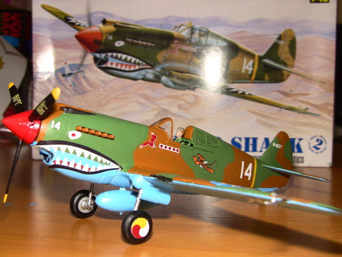 Revell 1:48 P-40B Tiger Shark Plastic Model Kit customer photo 2