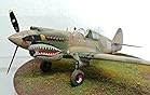 Academy P-40C Tomahawk customer photo 2
