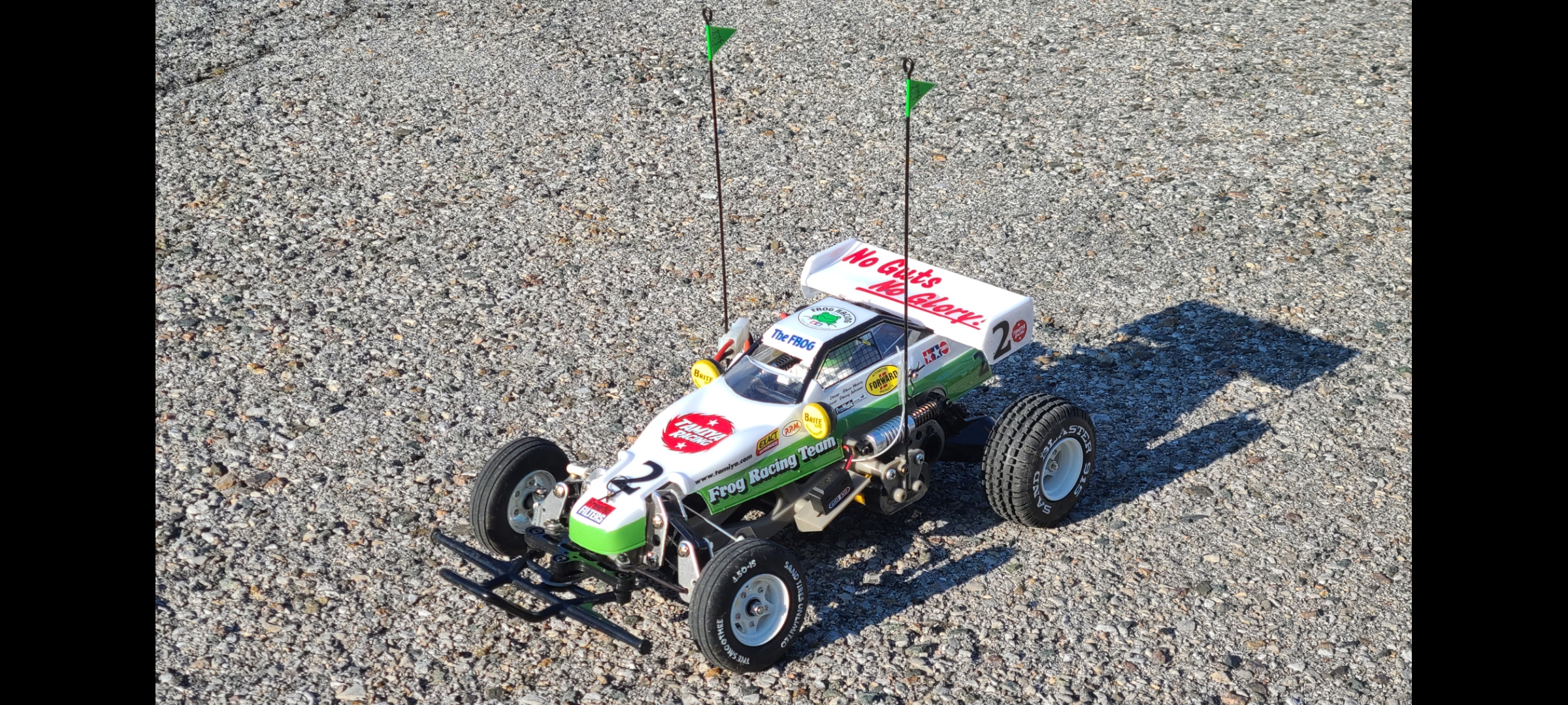 Tamiya 58354 The Frog 1/10 2WD Off-Road Buggy Kit customer photo 1