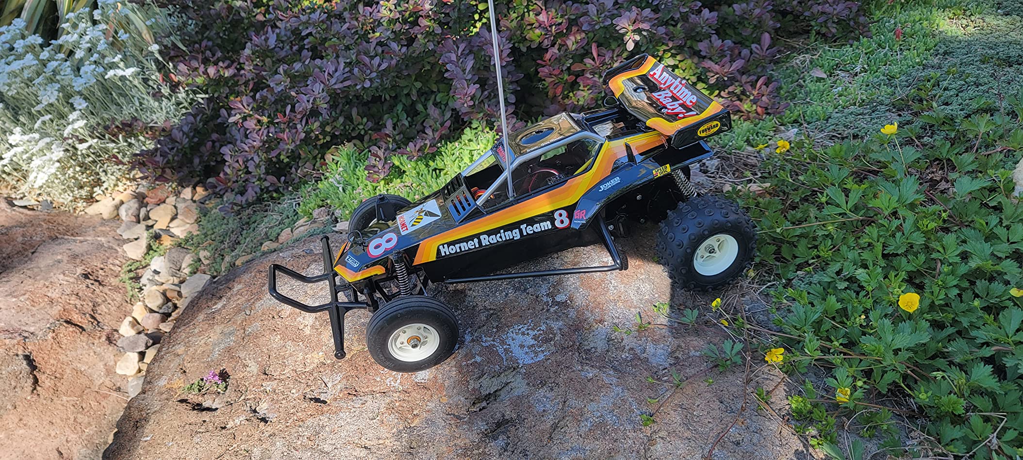 Tamiya 58336 The Hornet 1/10 2WD Off-Road Buggy Kit customer photo 1