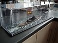 Trumpeter Showcase for Military & Ships (19.75'' Lx5.8'' Wx5.75'' H) Black Base (1/700 Scale), TSM-9805 customer photo 1