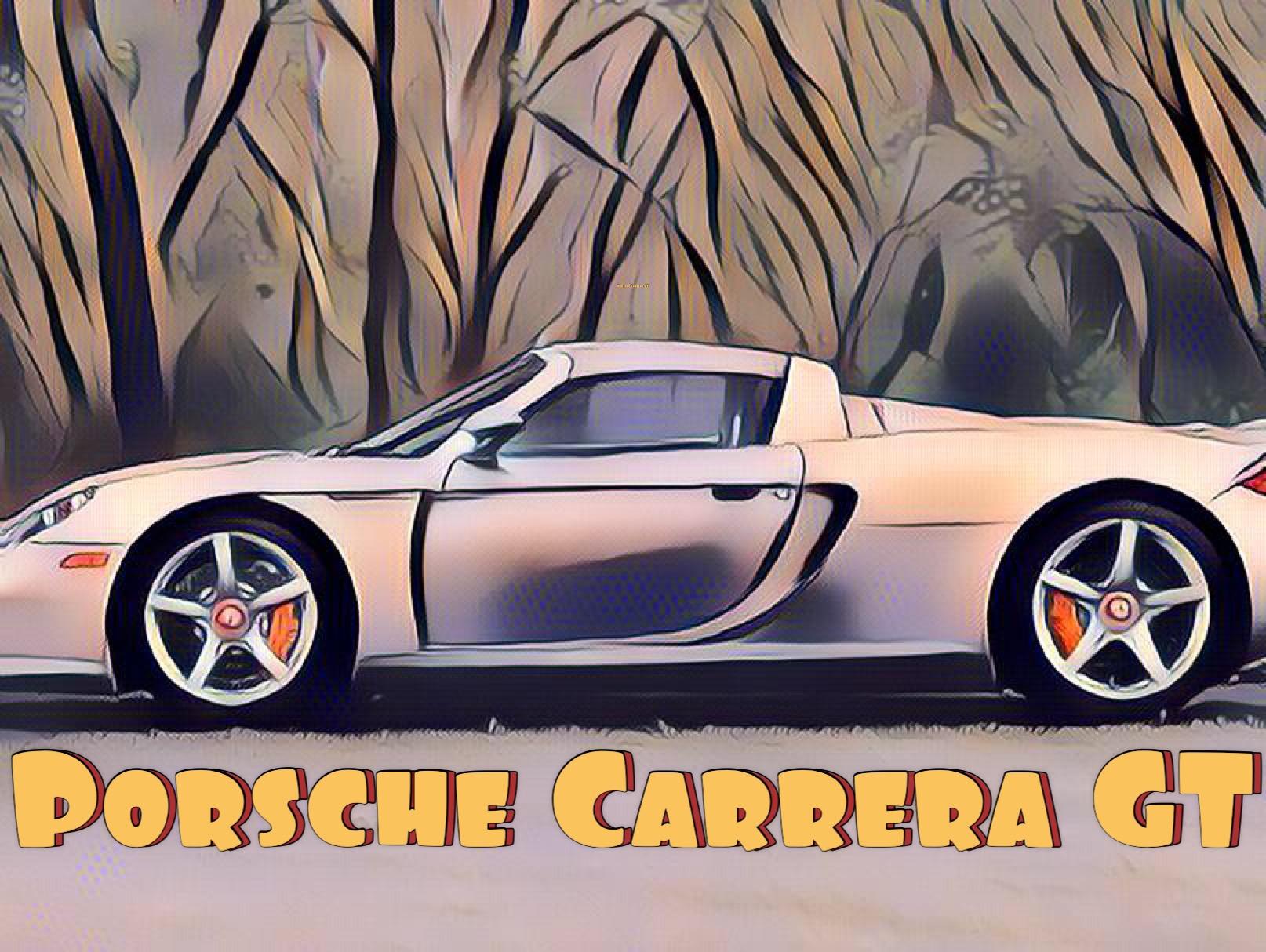 Tamiya 24275 1/24 Porsche Carrera GT Plastic Model Kit customer photo 1