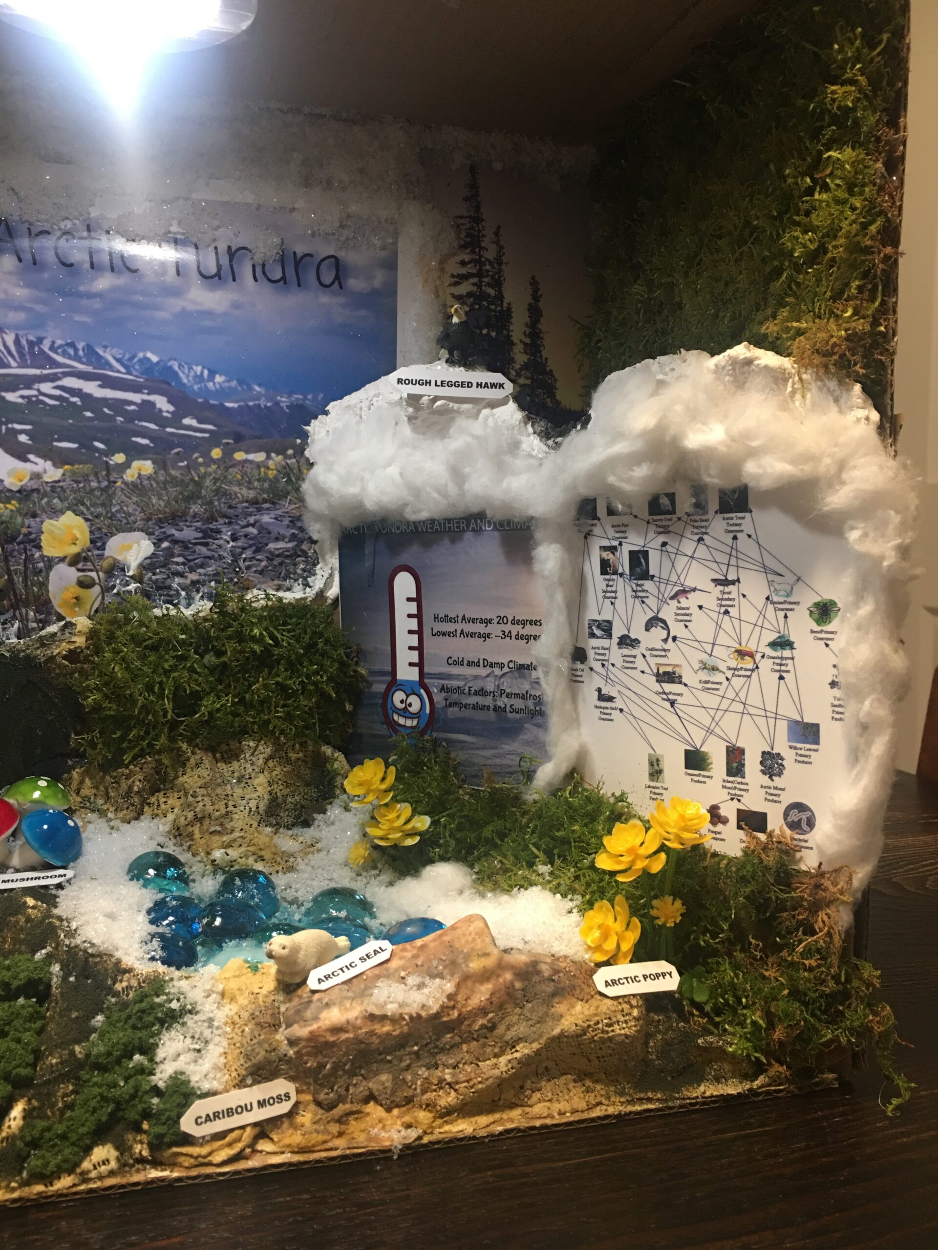 Woodland Scenics Diorama Kit, Mountain customer photo 1