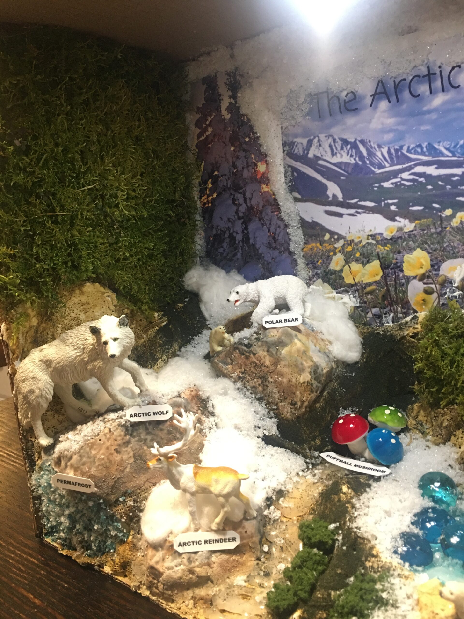 Woodland Scenics Diorama Kit, Mountain customer photo 2