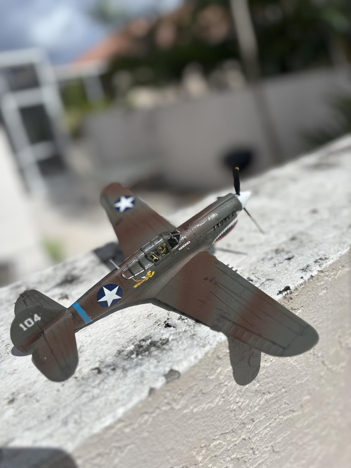 Hasegawa 1/48 P-40E Warhawk customer photo 1