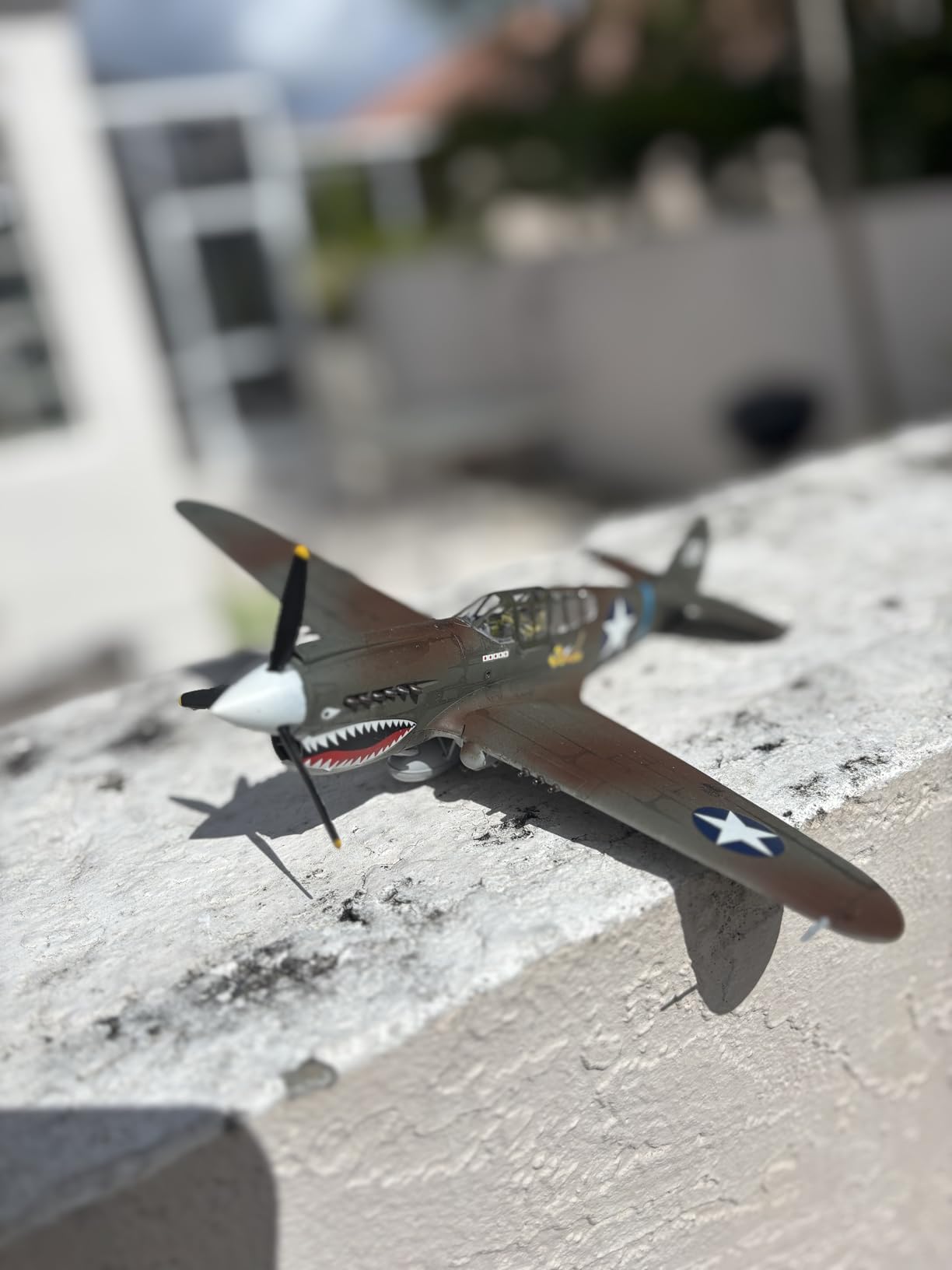Hasegawa 1/48 P-40E Warhawk customer photo 2