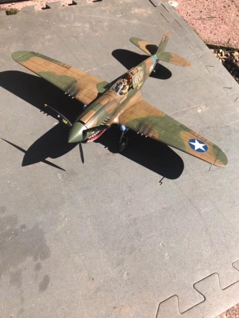 Hasegawa 1/32 P-40E Warhawk Texas Longhorn with Pilot Figure, Drop Tank and 500Ib Bomb customer photo 2