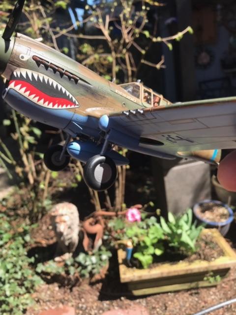 Hasegawa 1/32 P-40E Warhawk Texas Longhorn with Pilot Figure, Drop Tank and 500Ib Bomb customer photo 3