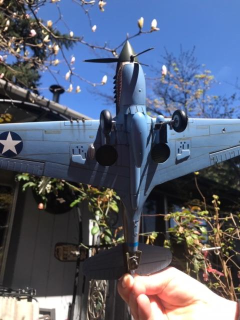 Hasegawa 1/32 P-40E Warhawk Texas Longhorn with Pilot Figure, Drop Tank and 500Ib Bomb customer photo 8