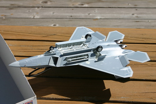 Hasegawa 1/48 F-22 Raptor USAF customer photo 2