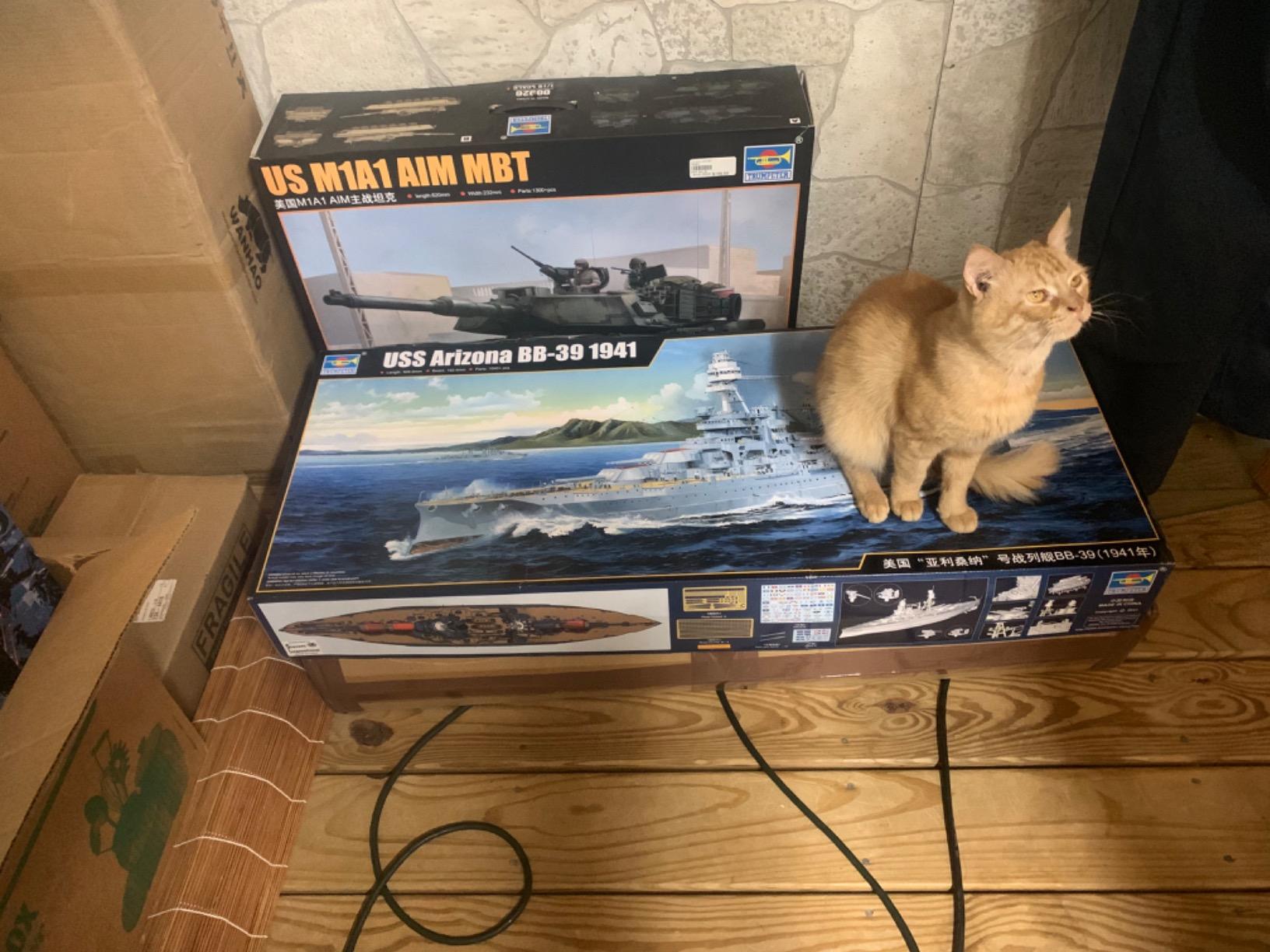 Trumpeter Battleship USS Arizona (BB-39) 1941 Plastic Model Kit - 1/200 Scale customer photo 1