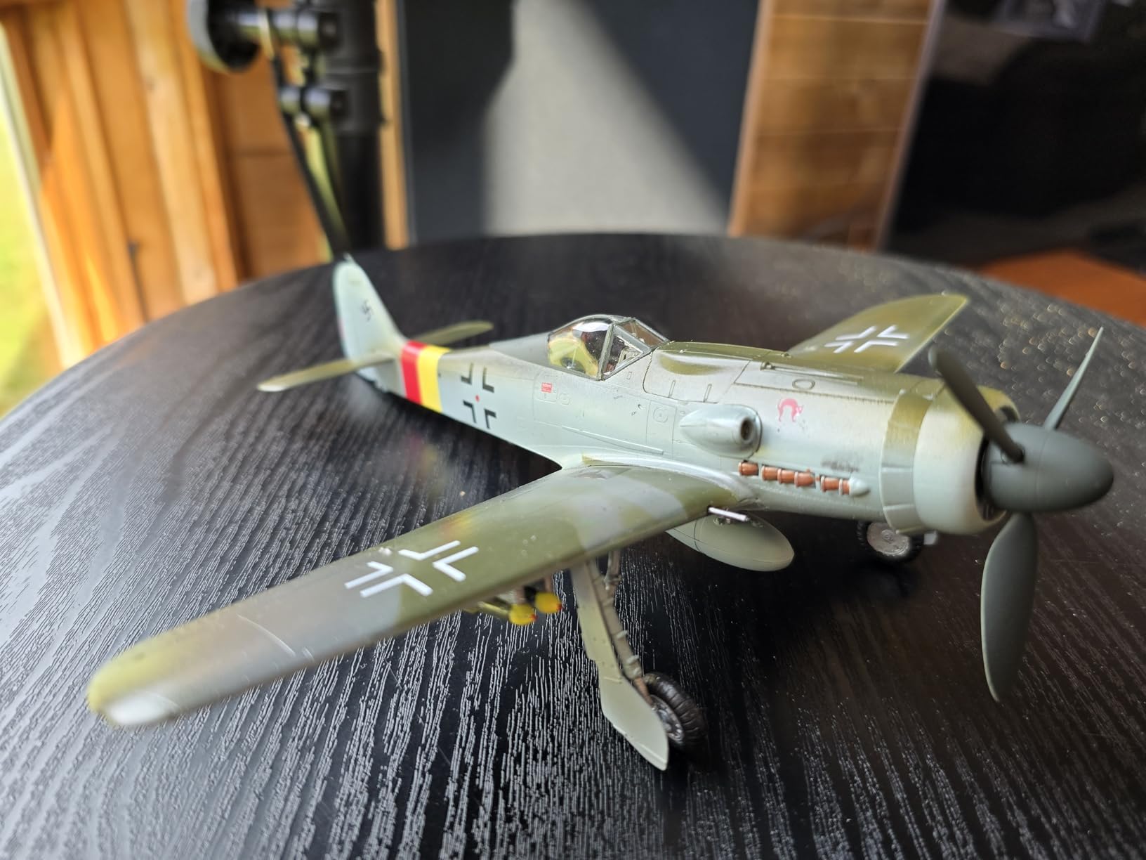 Hobby Boss Focke-Wulf FW 190D-9 Airplane Model Building Kit customer photo 1
