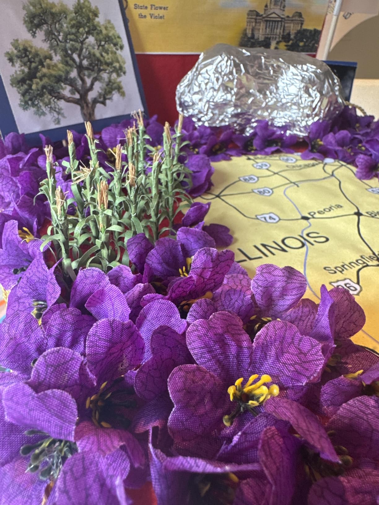 Flowering Plants, Corn Stalks, 2