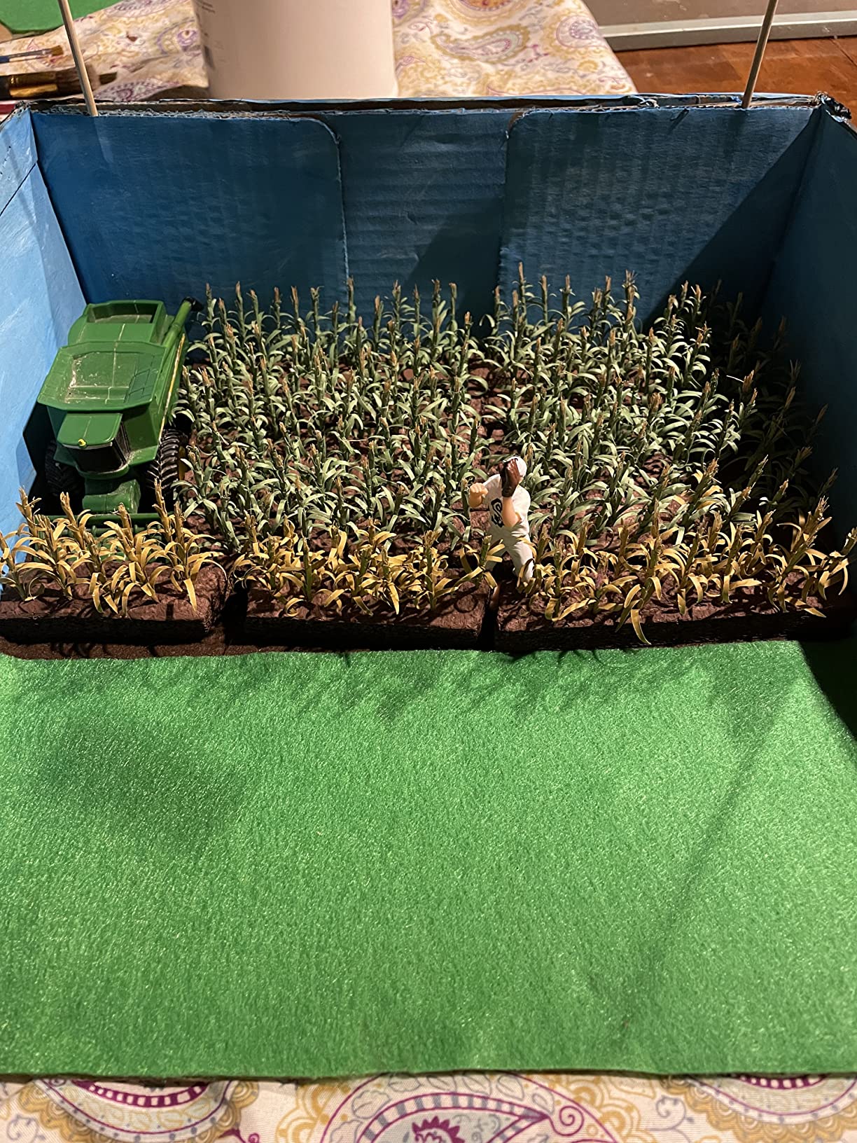 Flowering Plants, Corn Stalks, 2