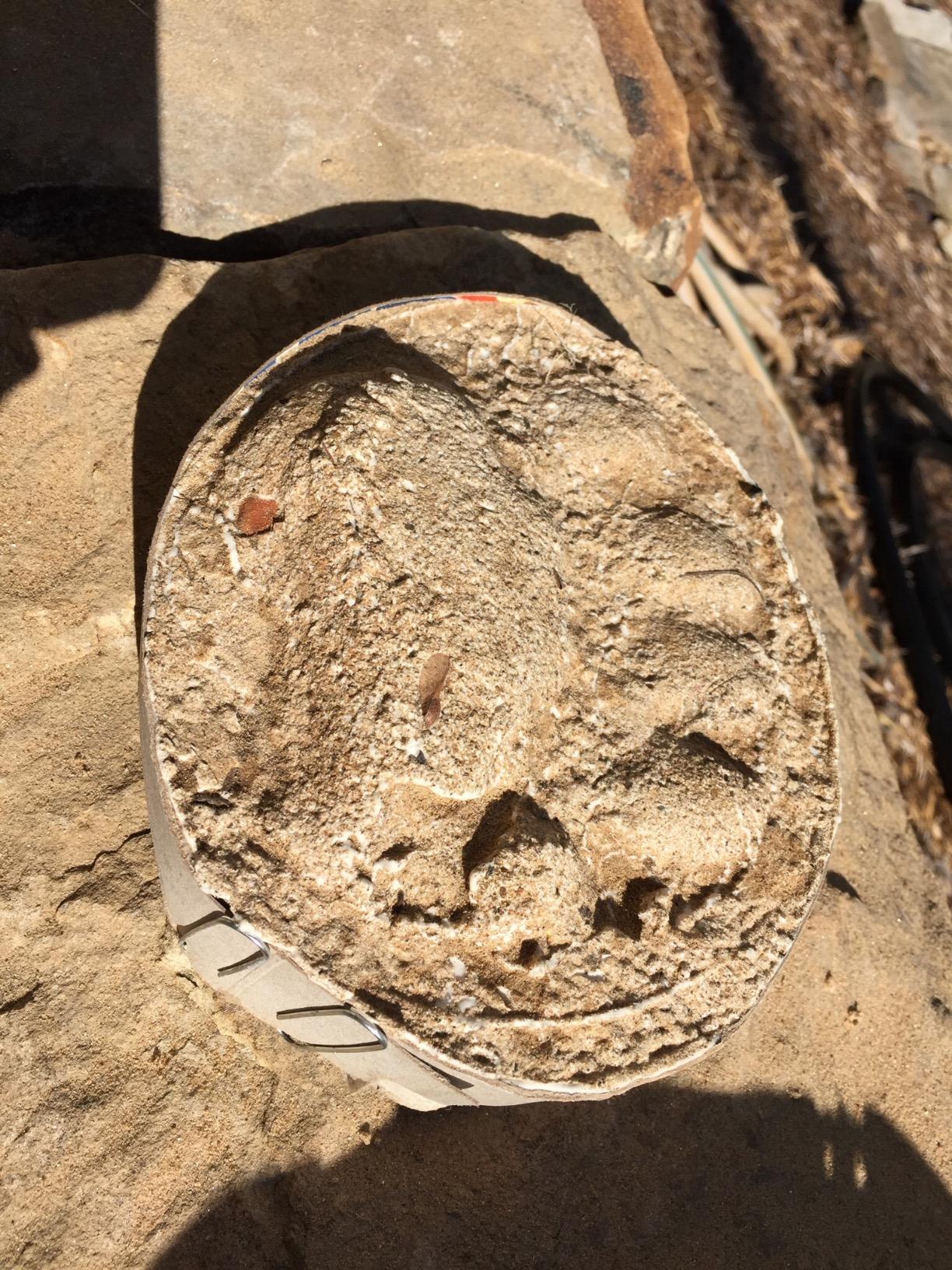 Hydrocal Plaster for Scenery, Dioramas, Dentistry and Mold Casting 5 lb Pack Resealable Bag Great for Model Railroads by Capital Ceramics customer photo 1