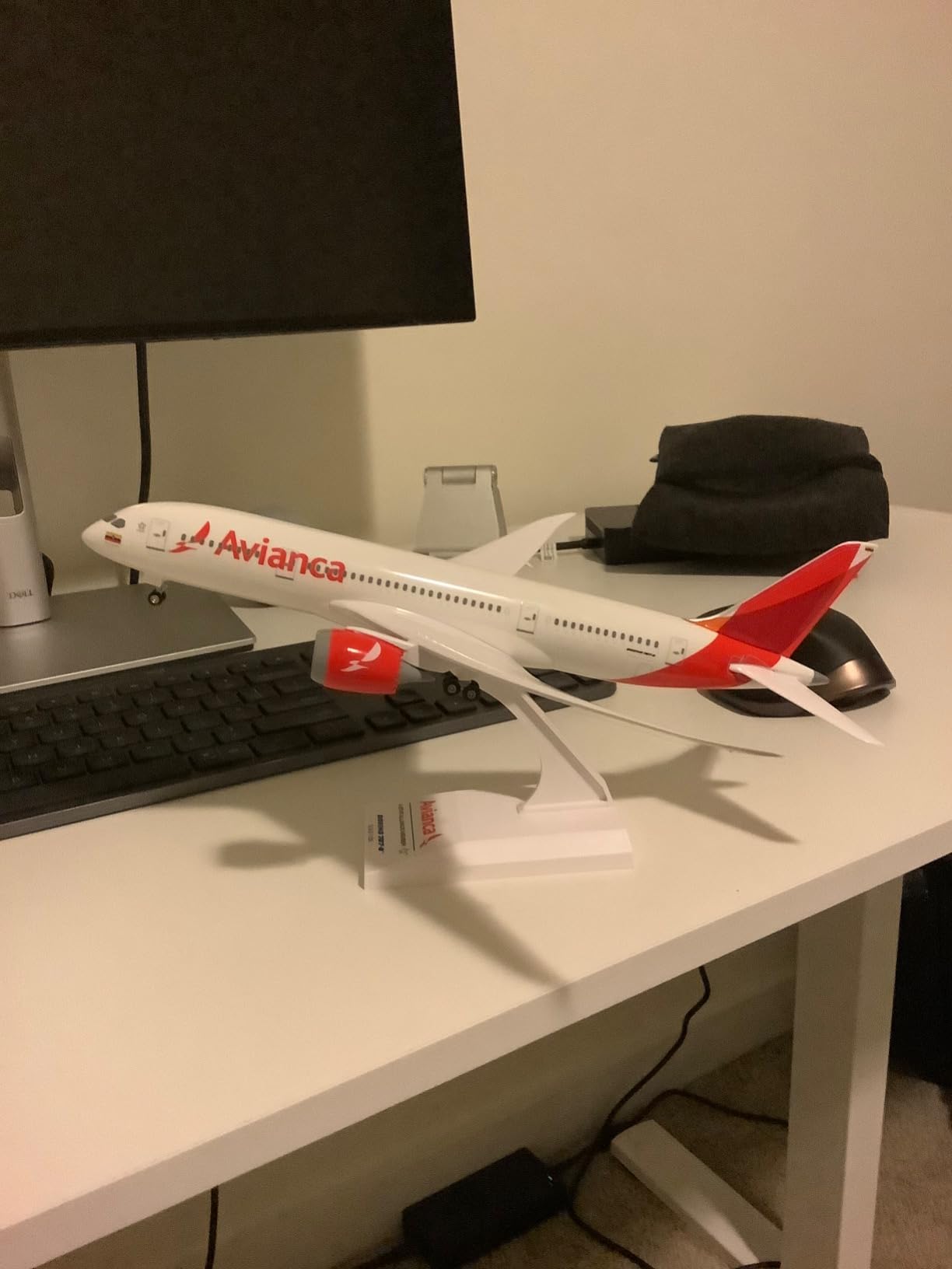 Daron Skymarks American Airlines Boeing 787 8 1/200 customer photo 1