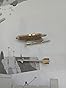 Italeri 1376 1: 72 A-10 Gulf War customer photo 1
