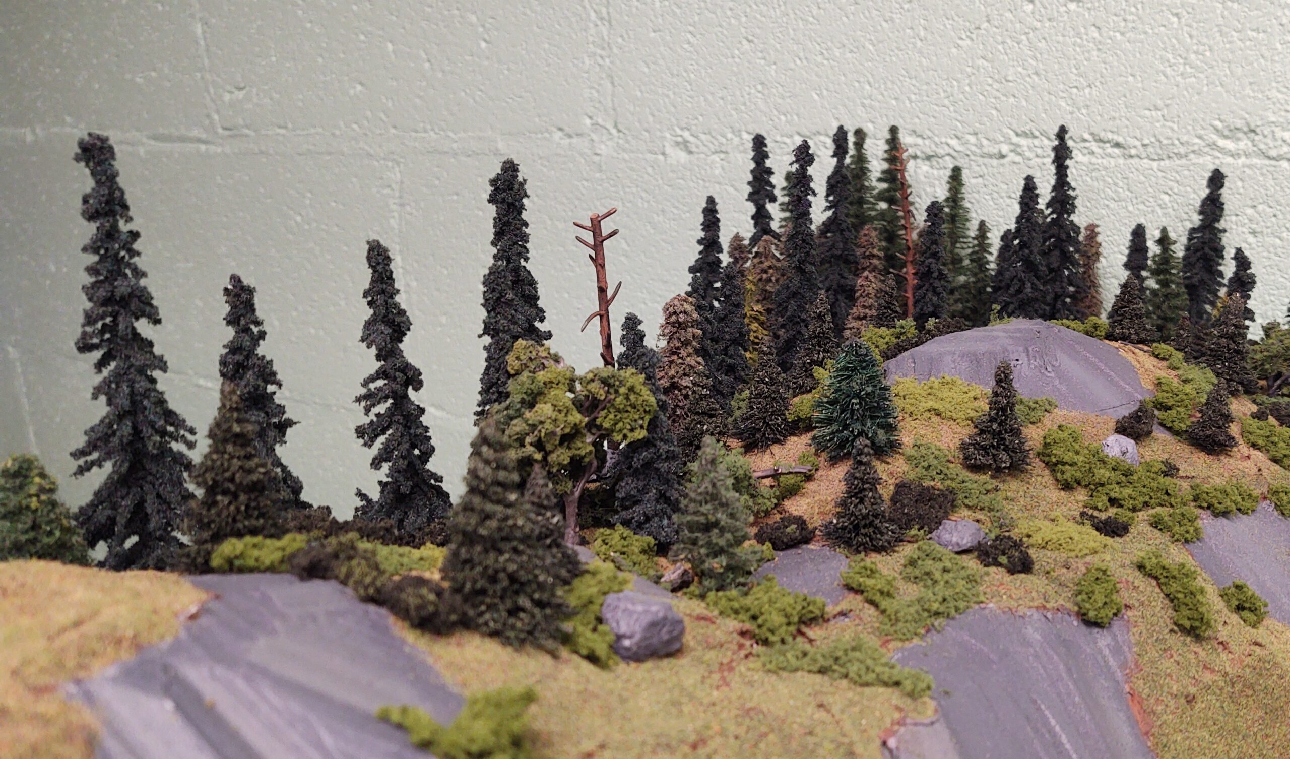 92037 Super Scenic Tree, Evergreen 3-5