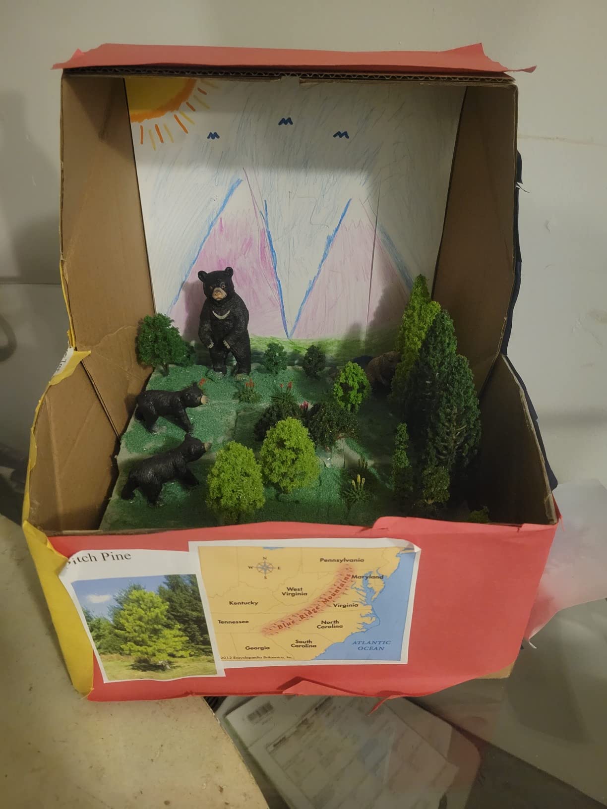 Tazimi 60 Pieces Model Trees 1.36-6 inch Mixed Model Tree Train Scenery Architecture Trees Fake Trees for DIY Crafts, Building Model, Scenery Landscape Natural Green customer photo 2