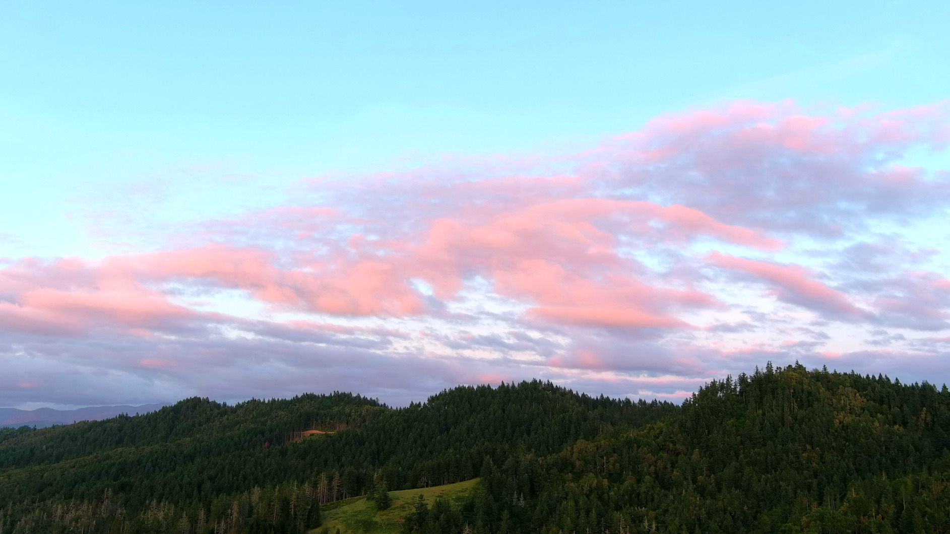 Robotics EVO 2 PRO V3, 1