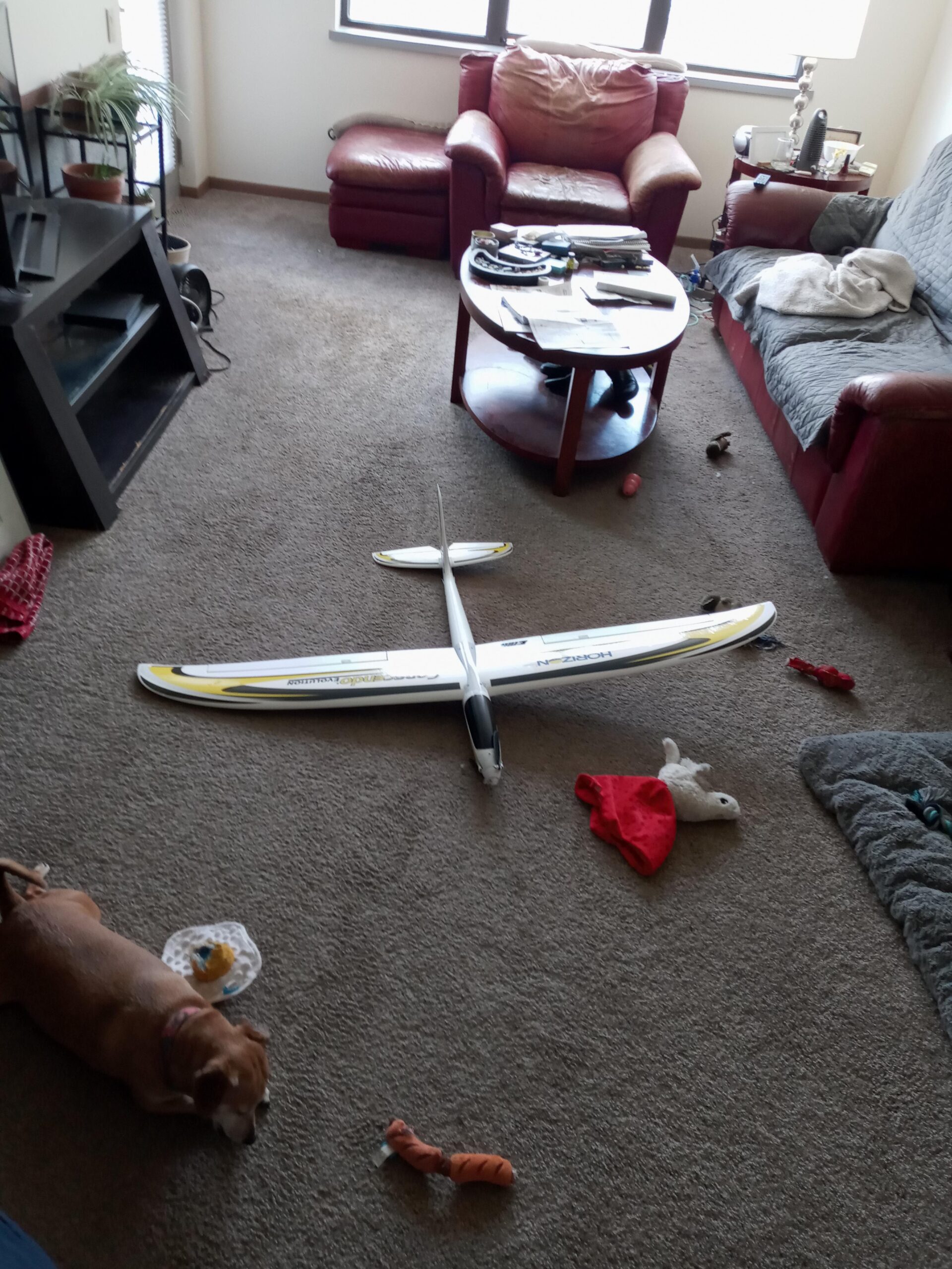 E-flite RC Airplane Conscendo Evolution 1.5m BNF Basic Transmitter Battery and Charger Not Included with Safe Select EFL01650 customer photo 2