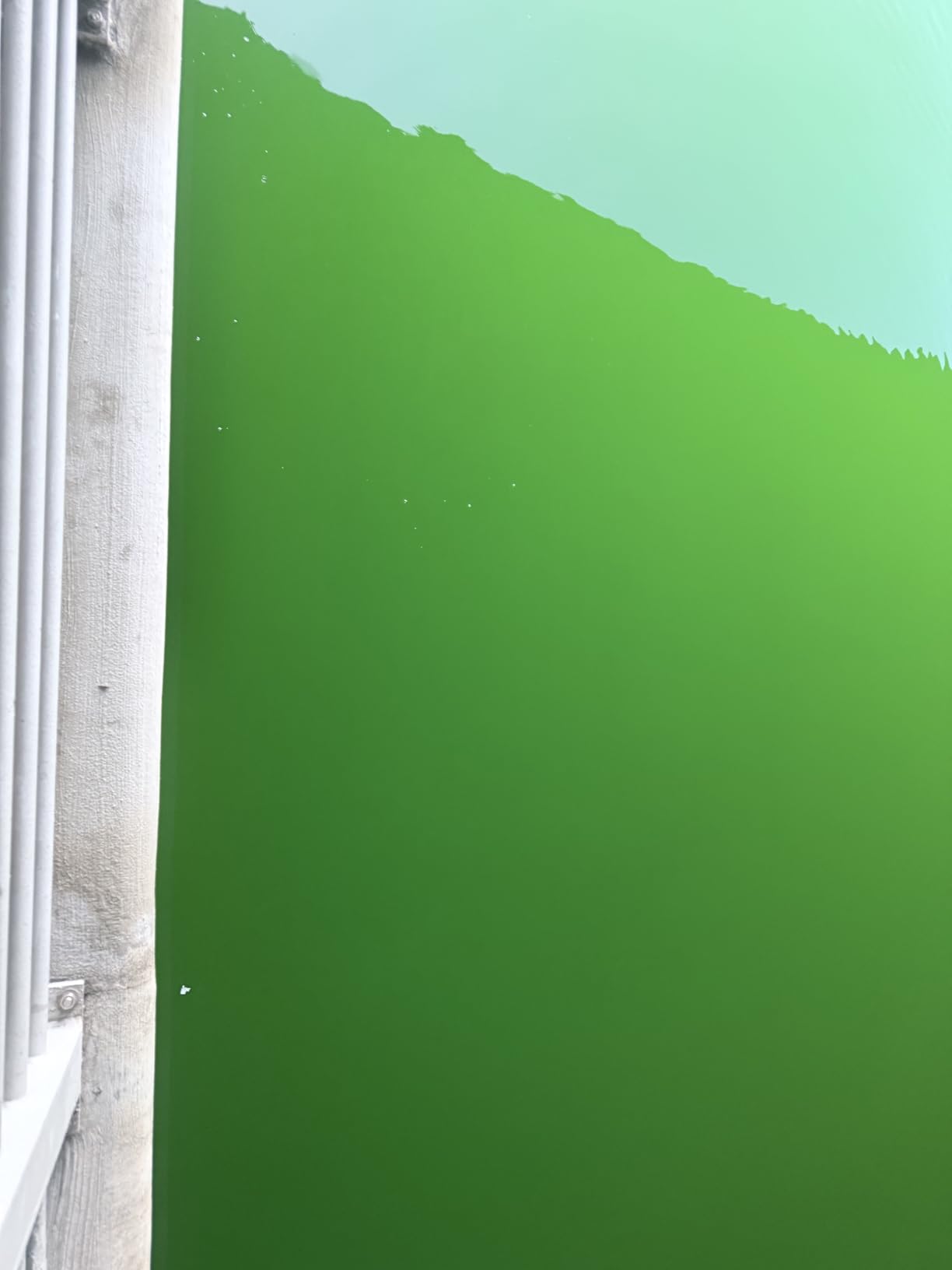 HAIBOXING 1:18 Scale RC Monster Truck 18859 36km/h Speed 4X4 Off Road Remote Control Cars,Waterproof Electric Powered RC Cars All Terrain Toys Vehicles with 2 Batteries, Xmas Gifts for Kid and Adults customer photo 2