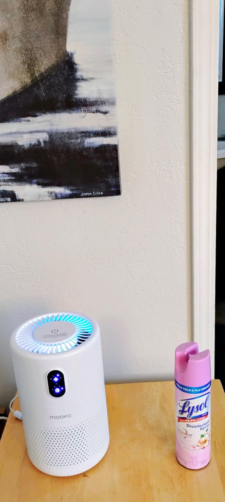 MOOKA Air Purifiers for Home Large Room up to 1076ft², H13 True HEPA Air Filter Cleaner, Odor Eliminator, Remove Smoke Dust Pollen Pet Dander, Night Light, B-D02L White customer photo 2