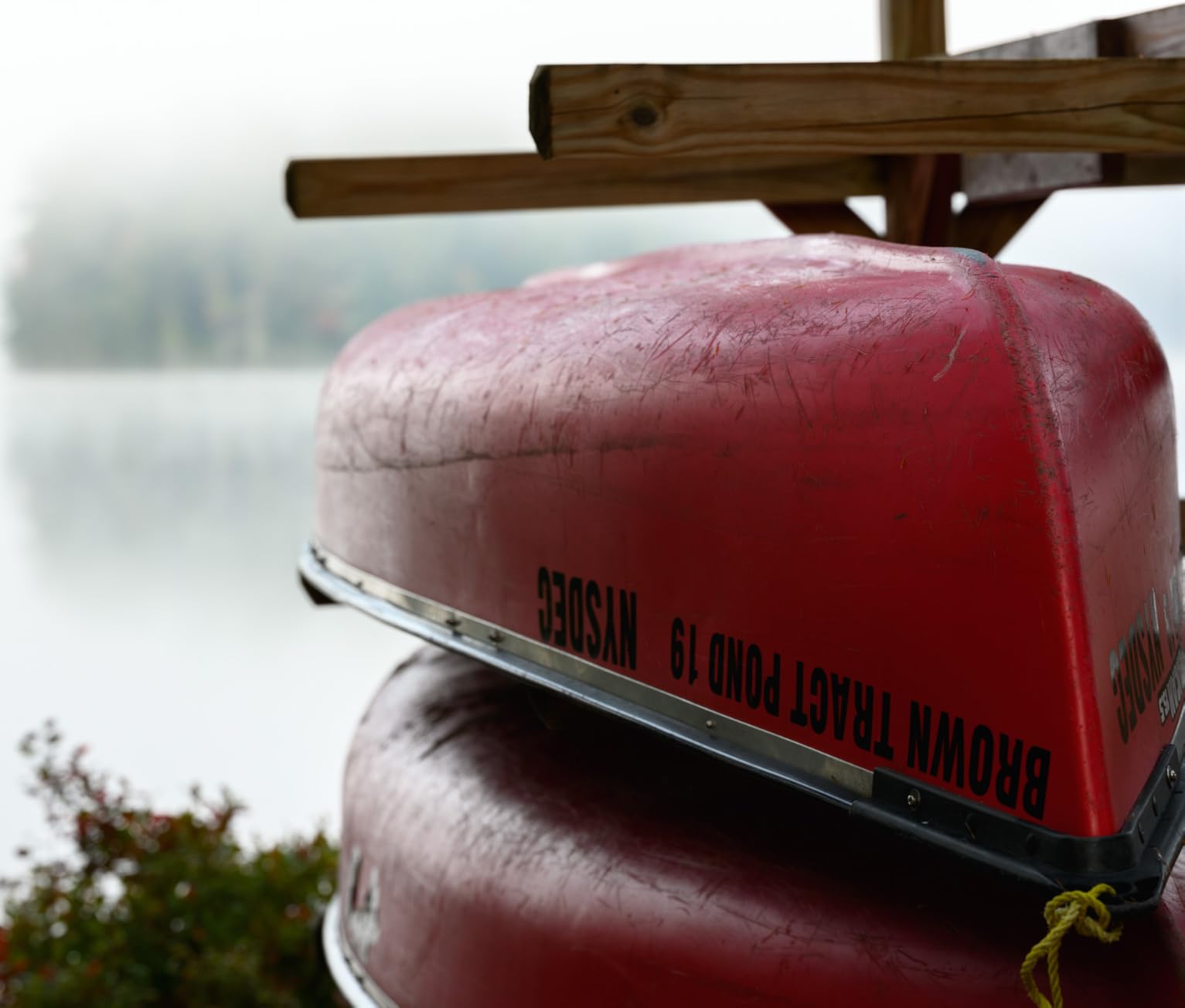 Nikon NIKKOR Z MC 105mm f/2.8 VR S customer photo 1