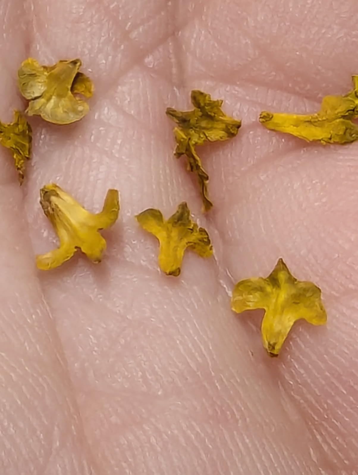 Realistic Miniature Leaves Simulation Leaves Pack of 4 customer photo 1
