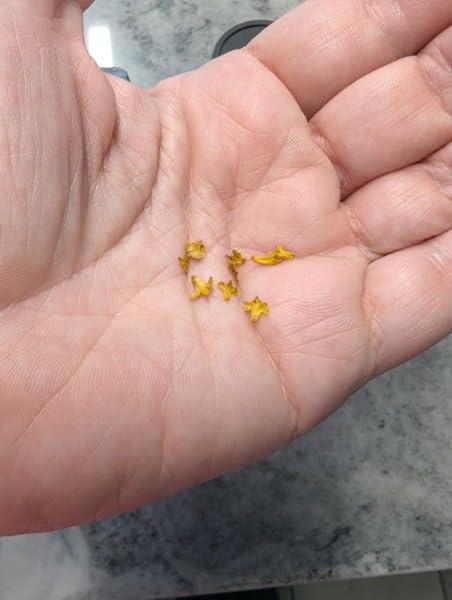 Realistic Miniature Leaves Simulation Leaves Pack of 4 customer photo 2
