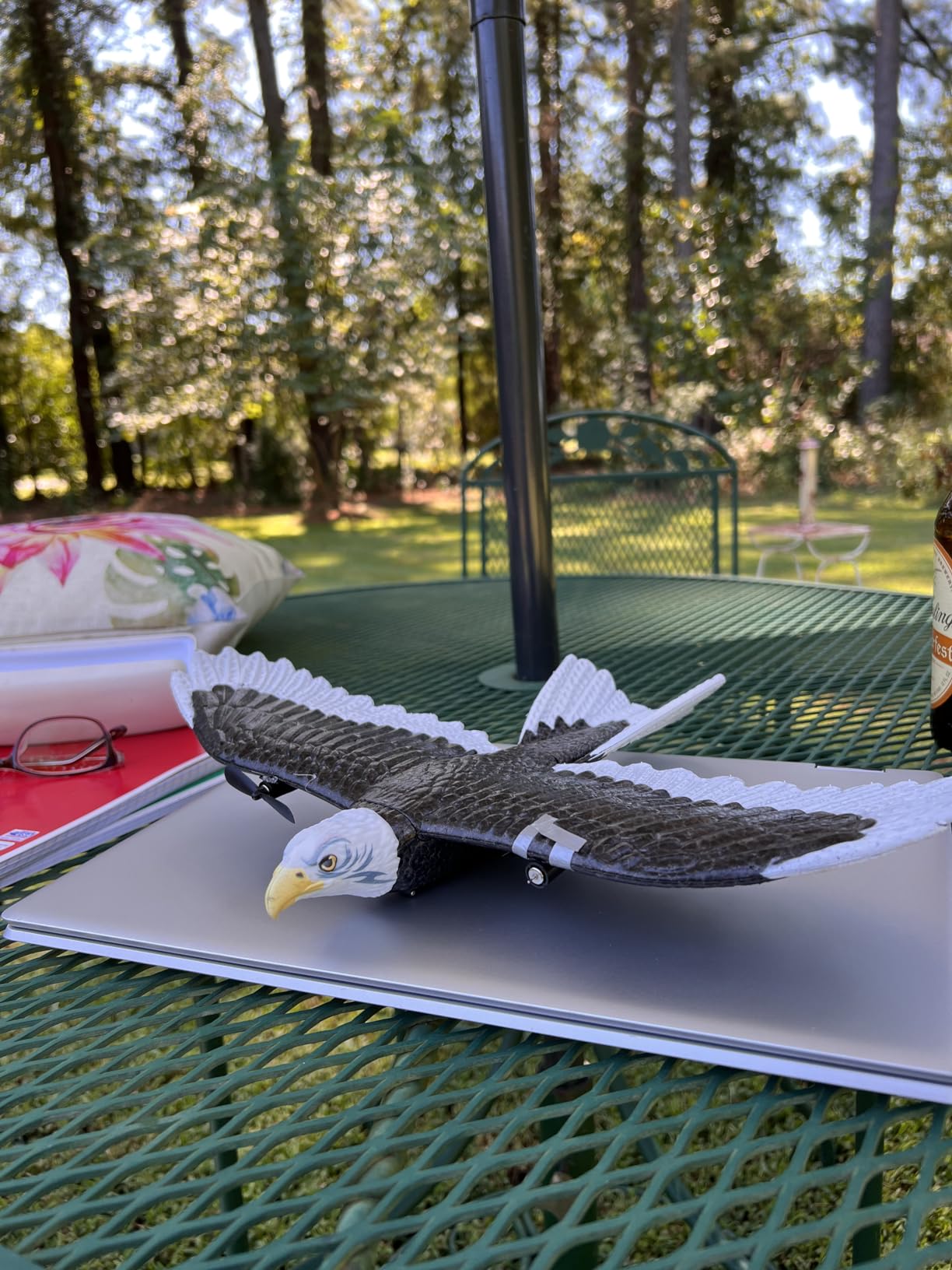 DEERC RC Plane, Remote Control Eagle Plane, RTF Airplane, 2.4GHZ 2CH Flying Bird with 2 Batteries & Propeller 6-axis Gyro Stabilizer, Easy to Fly for Beginners Adults Kids Boys customer photo 2