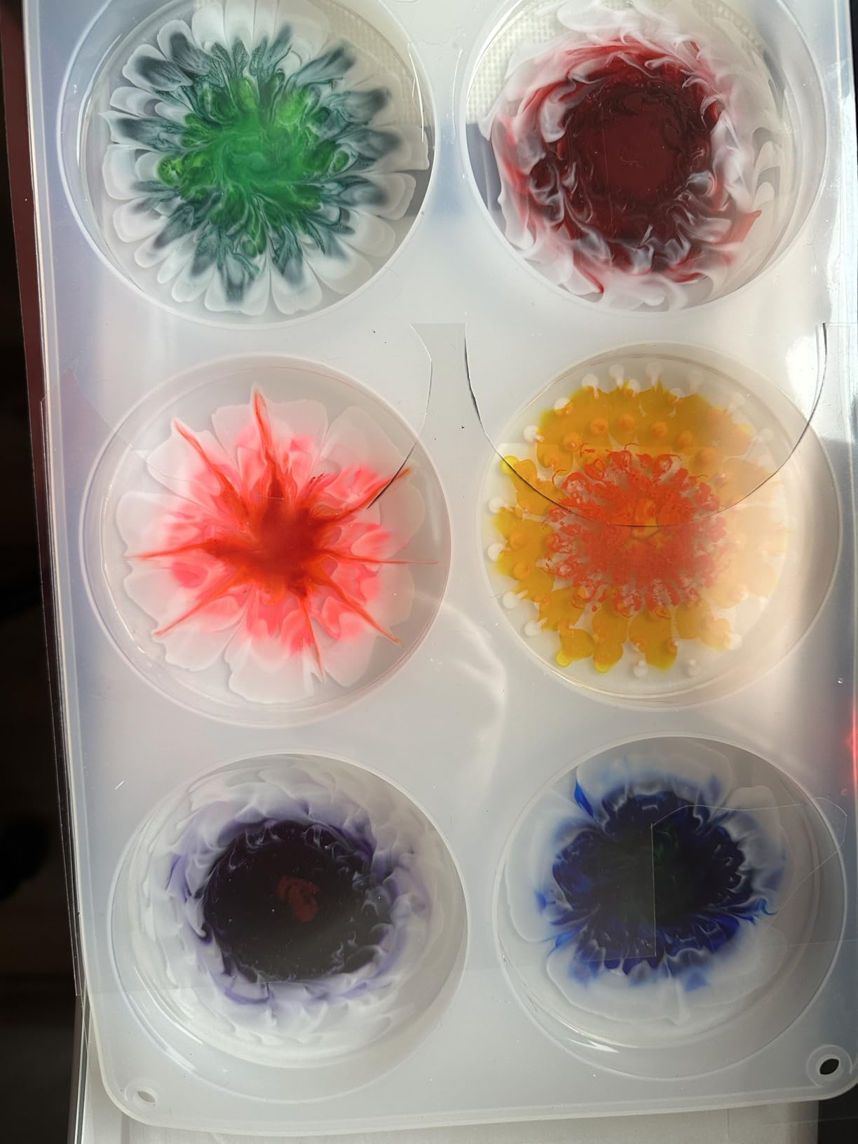 RESINWORLD 6-Cavity Deep Round Coaster Molds, 4 Inches Coaster Silicone Molds for Epoxy Resin, Coaster Resin Molds for Flower Bouquet Preservation customer photo 2