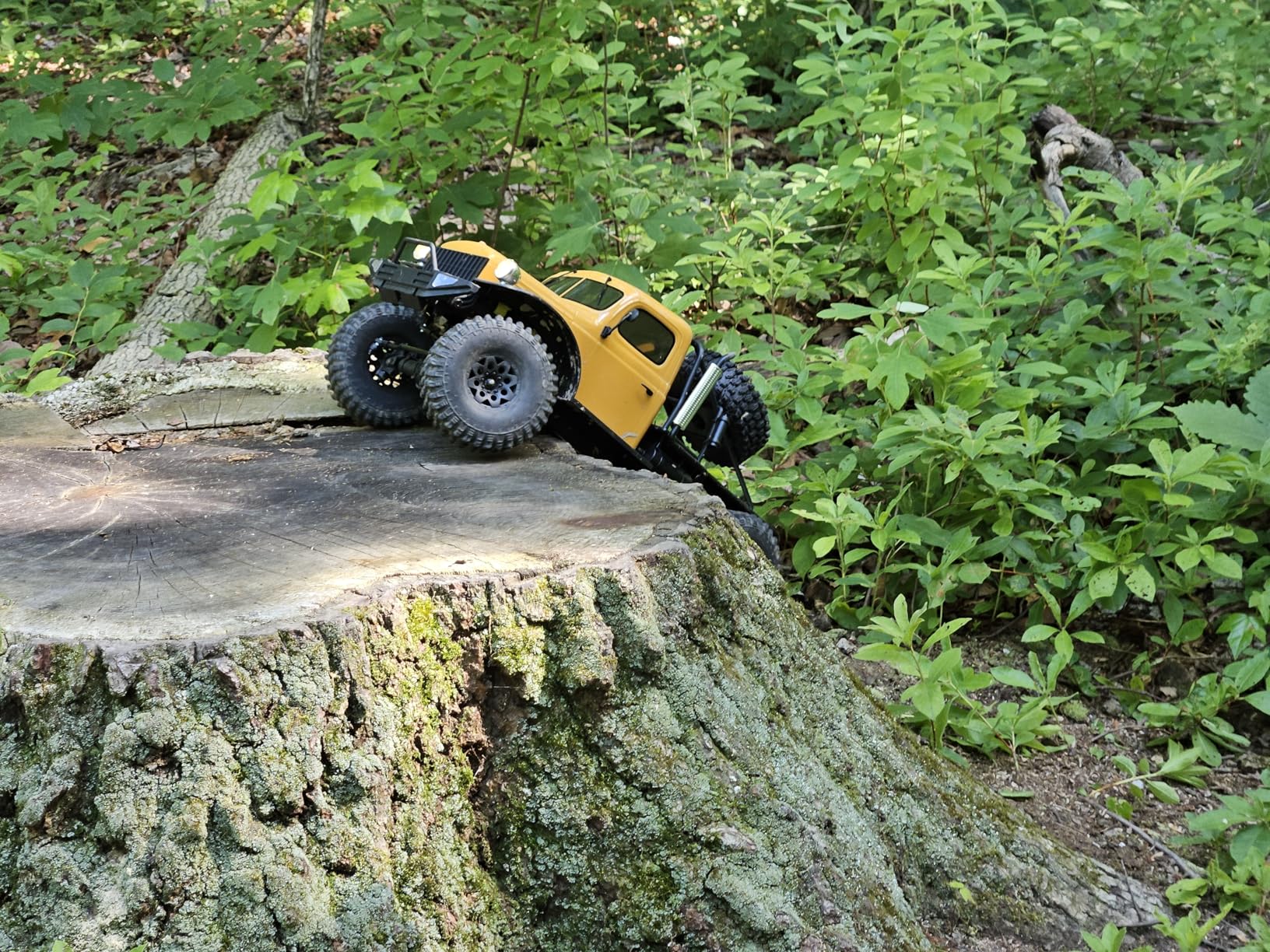 Fms Rochobby 1/10 Atlas Ready Set RC Crawler RC Truck 4X4 with Lighting, 2.4GHz Radio,Ball Bearing, Metal-Gear Full,4 Link Suspension,Rapid Separation Car Body for Adult(Blue) customer photo 1