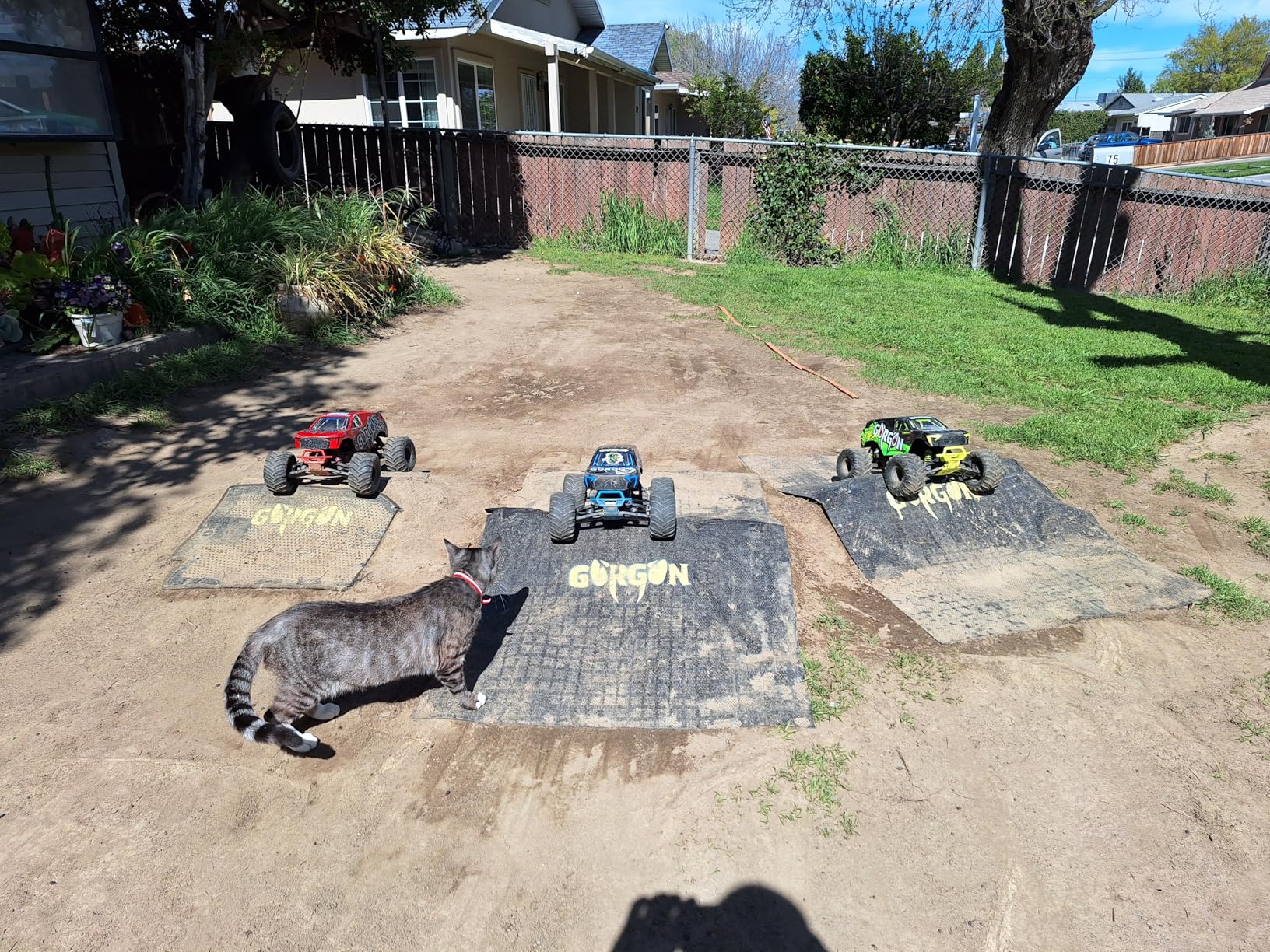 ARRMA RC Monster Truck 1/10 Gorgon 4X2 MEGA 550 Brushed Monster Truck RTR (Battery and Charger Not Included), ARA3230T1 customer photo 2