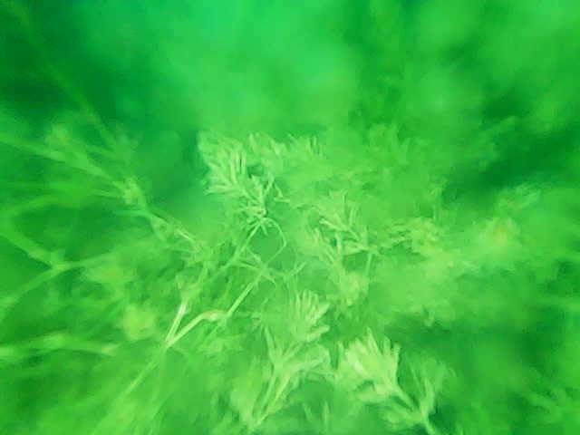 GoolRC RC Boats with Camera for Adults, 6CH Remote Control Boat for Pools & Lakes, App Wireless Control Waterproof RC Camera Boat customer photo 2