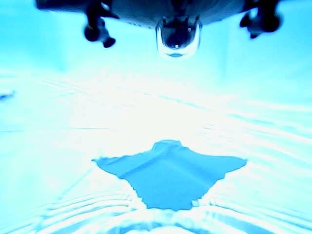 RC Boat Waterproof Mini Equipped with WiFi Camera for Real-time Shooting in Pools and Lakes, Great Birthday Gift for Kids customer photo 2