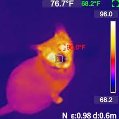 MILESEEY TR10 Thermal Imaging Camera,Super Resolution 192 x 192 Thermal Camera,25 Hz Refresh Rate, -4°F to 1022°F Handheld Infrared Imager,8-Hour Battery Life Infrared Camera customer photo 2