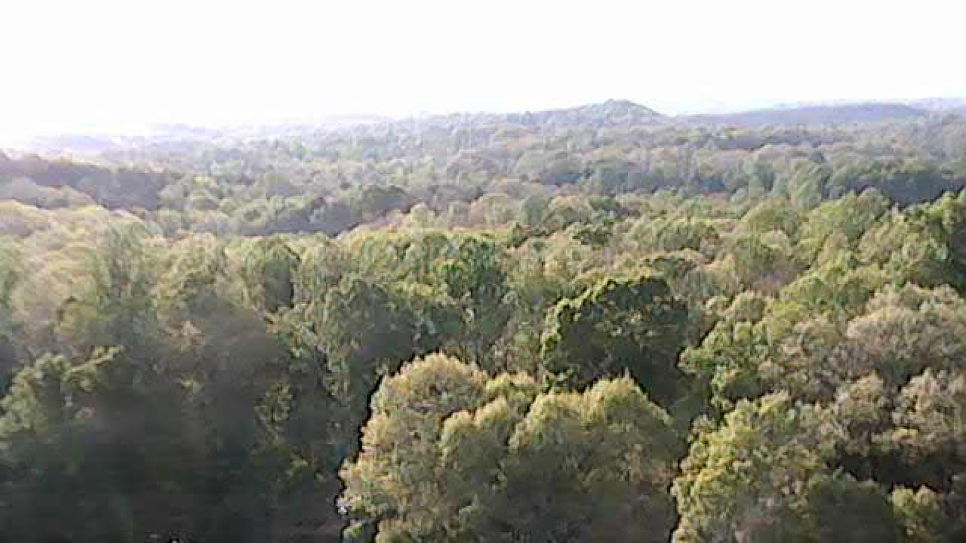 Quadrotor Drone DIY Kit: A Unique STEM Project with Brushless Motor, Optical Flow Hovering, One-Click Takeoff and Landing, and 360 Flip for DIY Enthusiasts to Learn Drone Basics customer photo 1