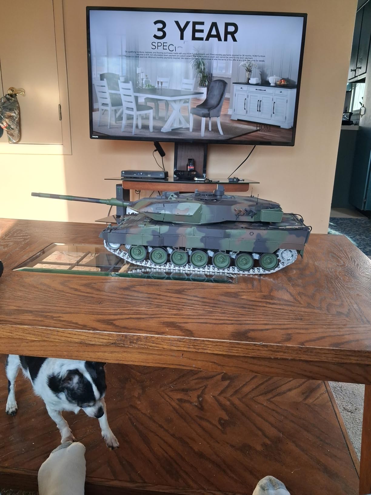 1/16 RC Tank, Heng Long German Leopard 2 A6 RC Battle Army Toy with Smoke, Sound, Light, 2.4G Remote Control Tank That Shoots BBS with Upgraded Metal Tracks, Idler, Sprocket Wheel, Steel Gearbox customer photo 2