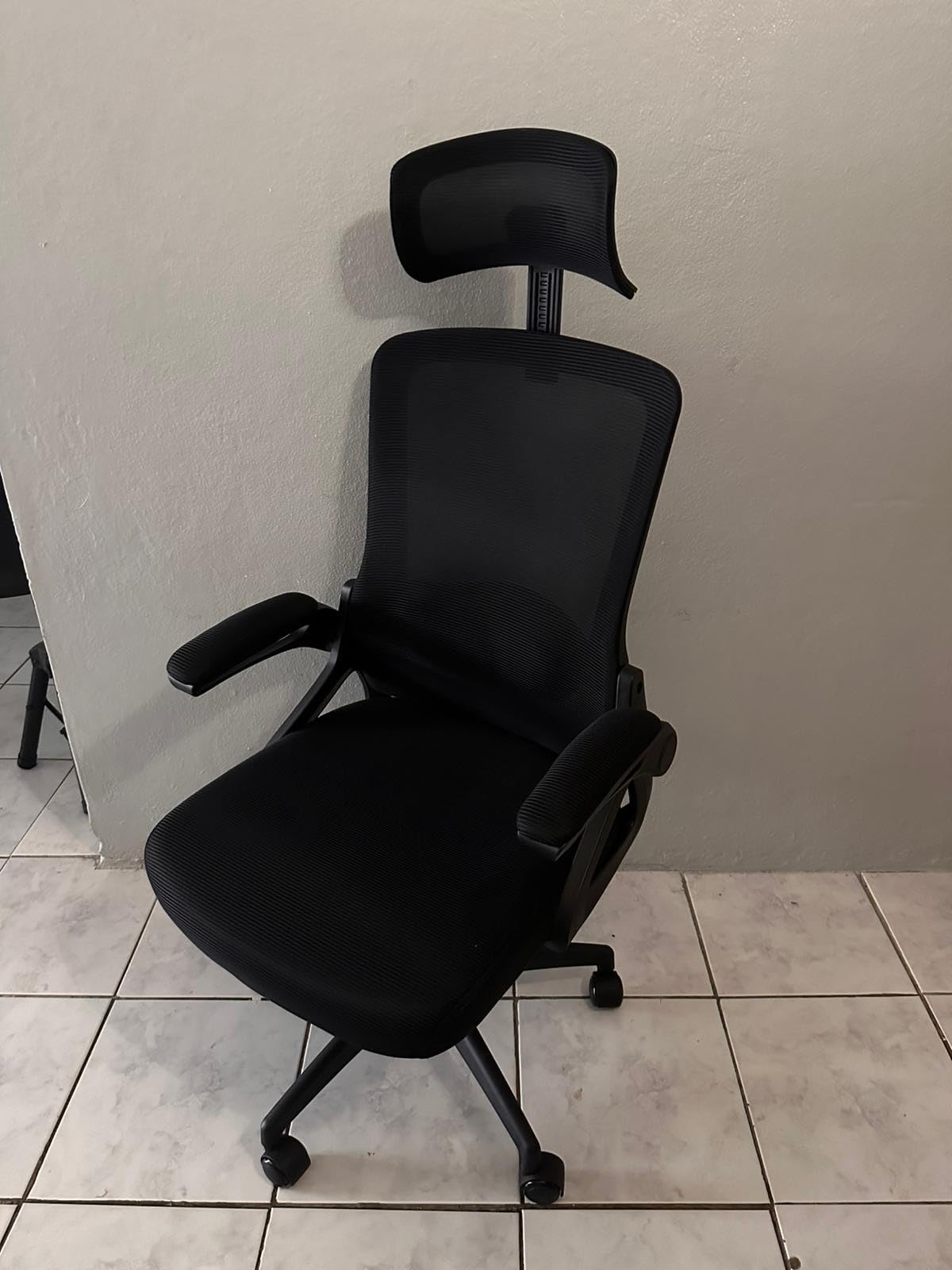 Fizzin Ergonomic Office Chair 400 LBS Computer Chairs with Adjustable Lumbar Support Breathable Mesh Desk Chair customer photo 1