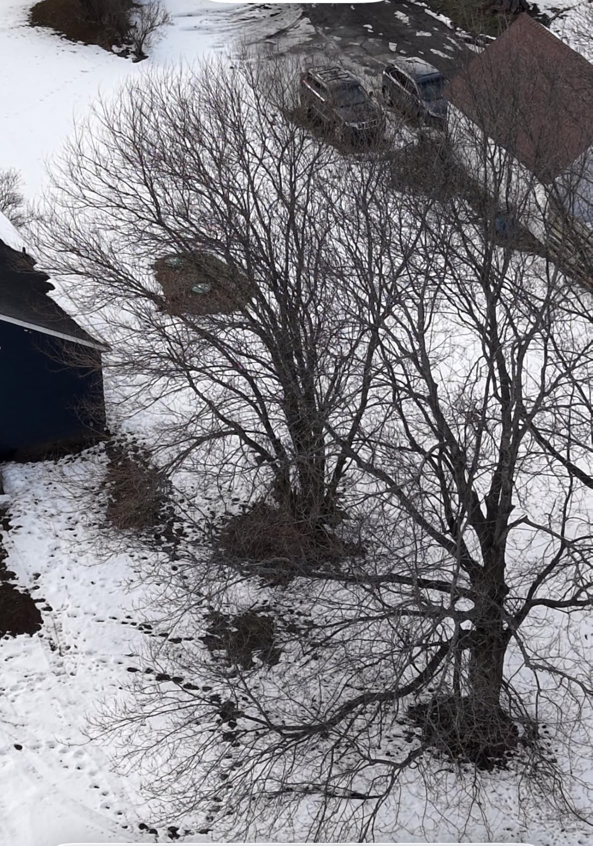 DJI Avata 2 Fly Smart Combo (Three Batteries), FPV Drone with Camera 4K, Immersive Experience, One-Push Acrobatics, Built-in Propeller Guard, 155 degrees FOV, Camera Drone with Goggles N3 and RC Motion 3 customer photo 2