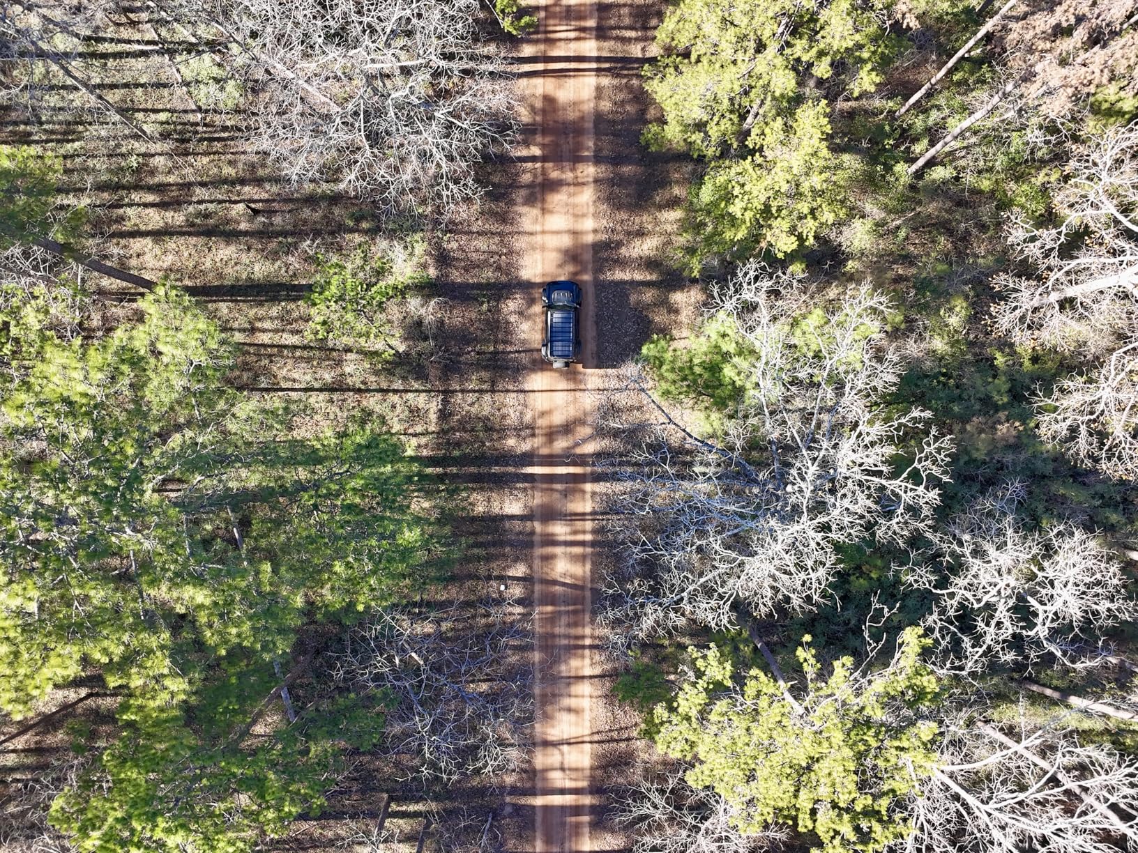 Skyrover S1 Mini Drone Combo with Camera 4K/60fps Video, 48MP Photo with 8K Image Quality, 3-Axis Gimbal Stabilization, 39,000ft Video Transmission, Under 249g, Auto Track, 120-Min Flight Time with 3 Batteries customer photo 2