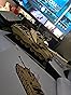 Nifeliz Challenger 2 Tank Model Set, British Main Battle Tank Building Set for Adults, Military Building Model for Build and Display, Collectible Gift for Military Enthusiasts (1,761 PCS, NF10344) customer photo 1