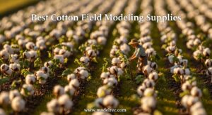 Best Cotton Field Modeling Supplies