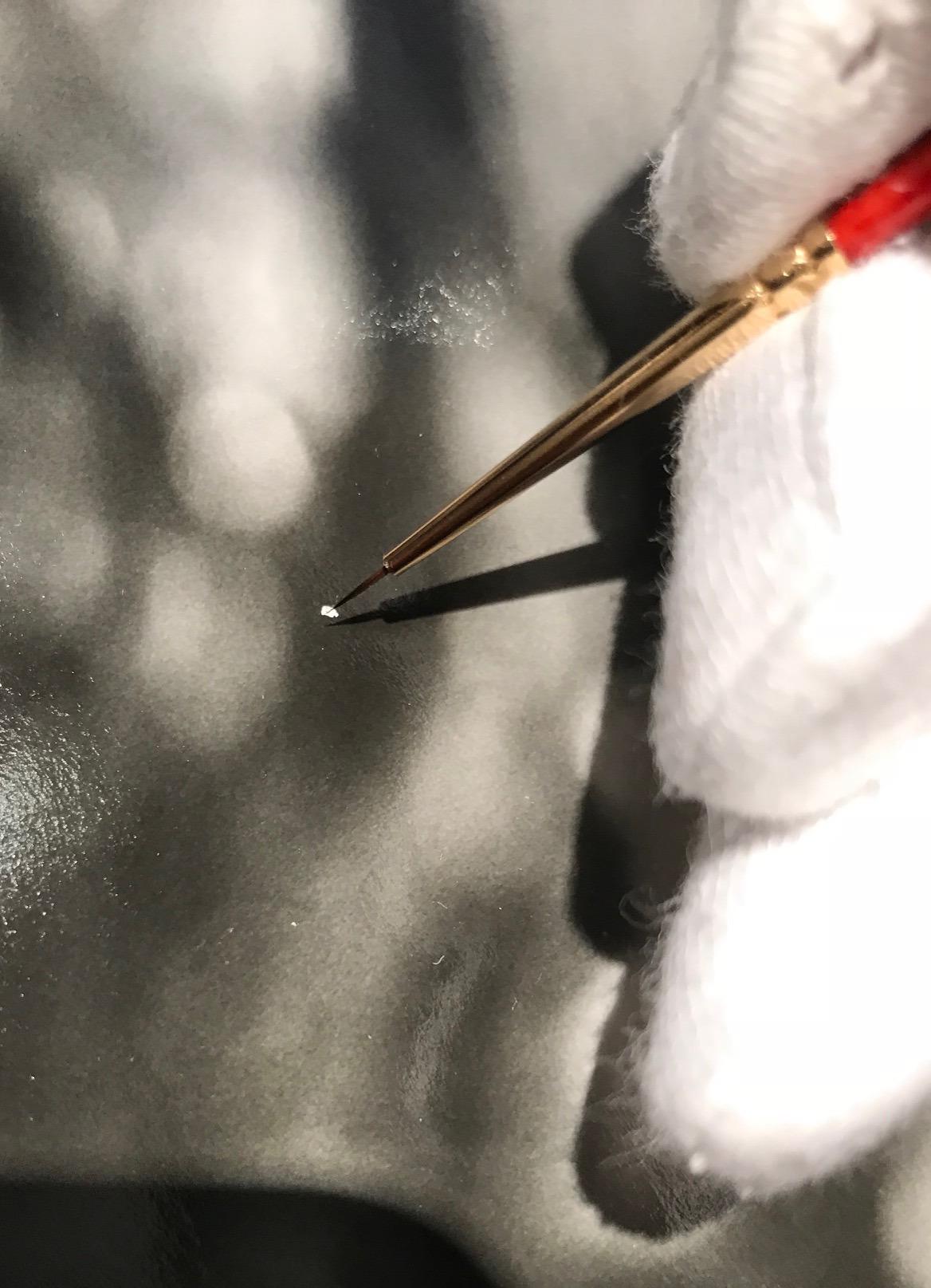 Winsor & Newton Sceptre Gold II Series 101 Short Handle Brush - Round #7 customer photo 1