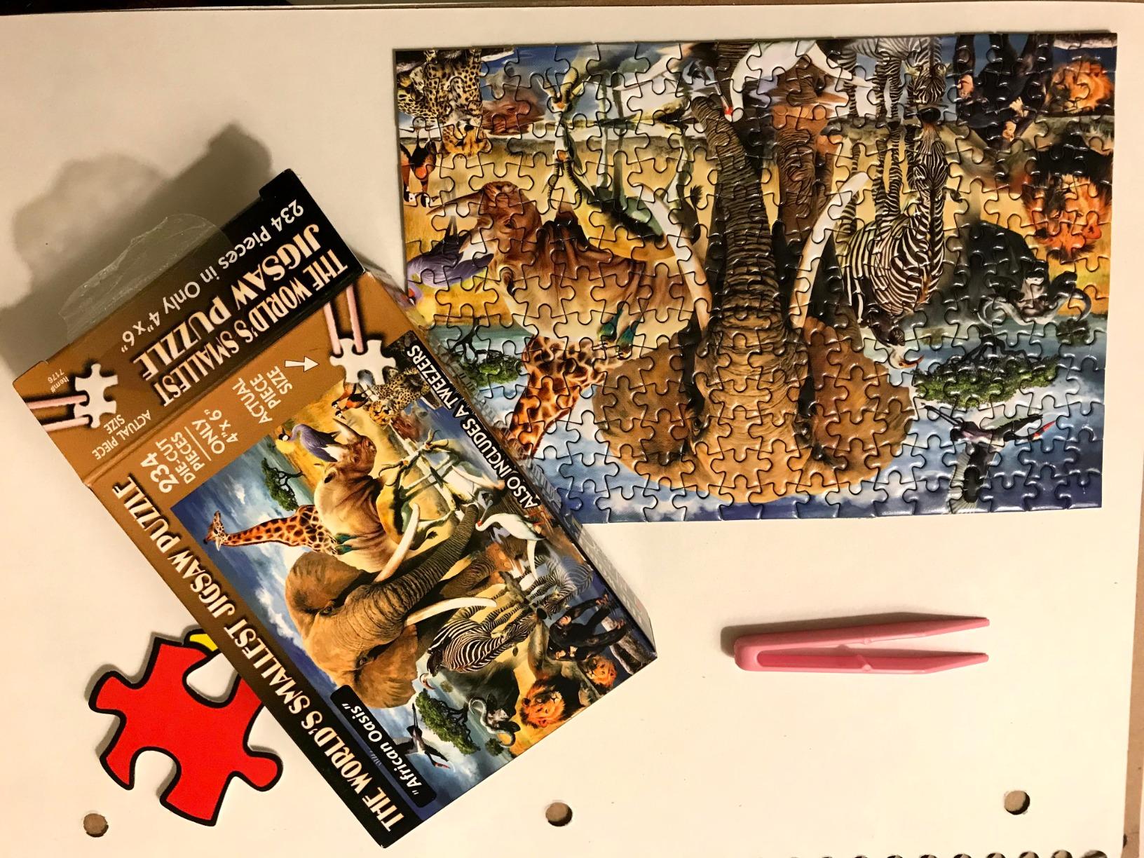 TDC Games World's Smallest Jigsaw Puzzle, African Oasis - Mini Puzzles, Small Challenging Travel Art Puzzle for Adults, 200+ Pieces, 6 x 4 inches customer photo 2