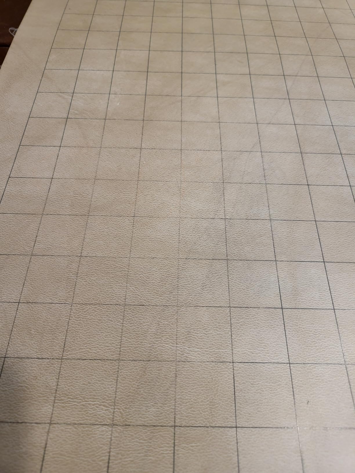 Chessex Megamat - Vinyl RPG Megamat - Smooth & Tough - 34.5 inches x 48 inches - Reversible 1-inch Squares & 1-inch Hexes - TTRPG RPG DND D&D Dungeons and Dragons customer photo 2