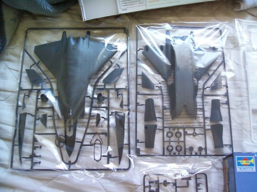Trumpeter 1/72 Chinese J20 Fighter customer photo 1