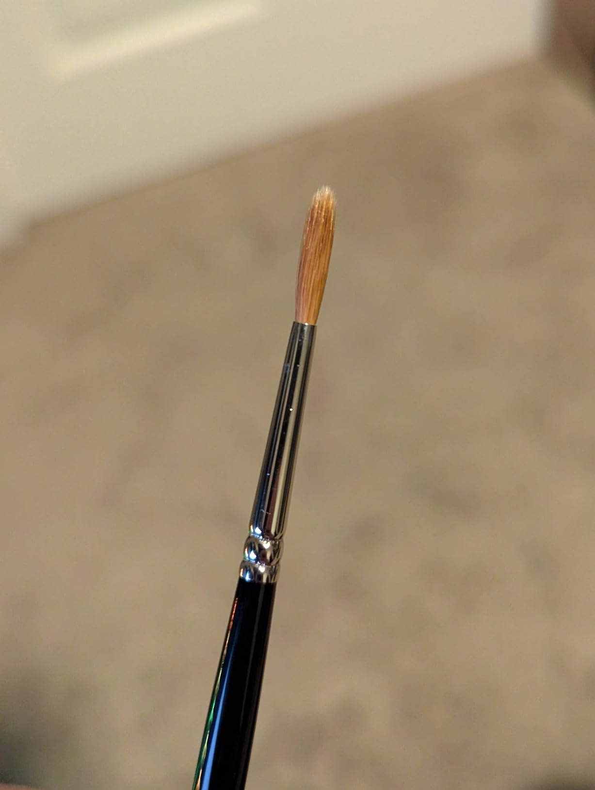 Winsor & Newton Series 7 Kolinsky Sable Brush - Pointed Round, Set of 5 customer photo 2